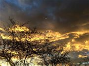 Flaming Skies 