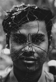 Spider Man 