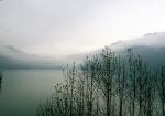 Beautiful Nature