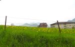 Swiss Countryside