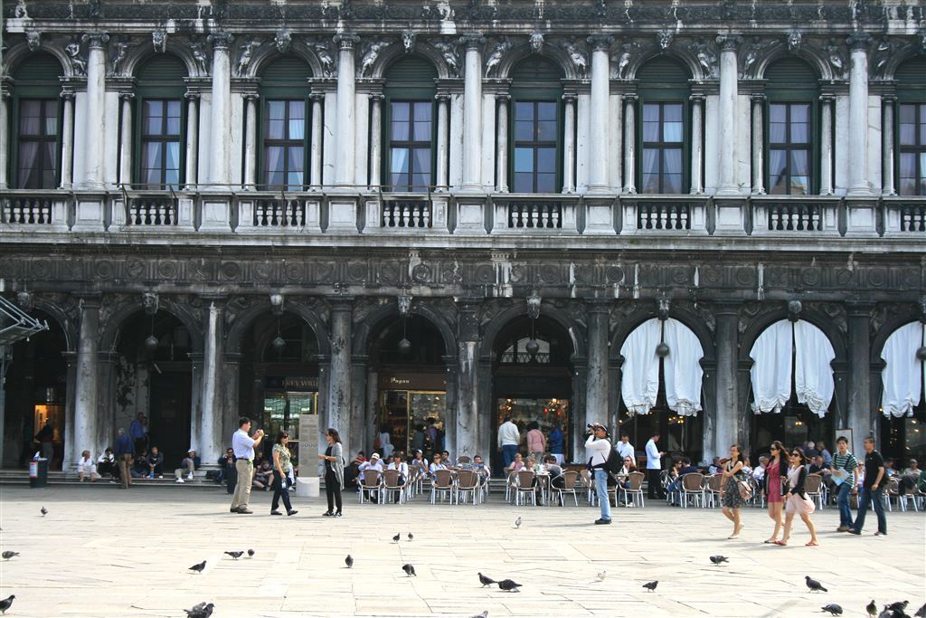 Piazza San Marco And Pigeons
