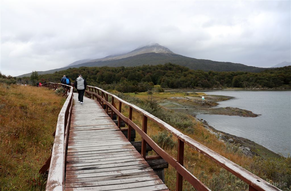 A Boardwalk at Tierra Del Fuego National Park