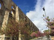 Aqueduto Da Amoreira