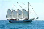 Beautiful Sail Boat In Lake Michigan