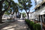 Beautiful Downtown Funchal