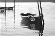 Black And White Boat