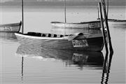 Black And White Boats