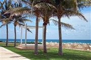 Cancun Gazebo Palm Trees Beach
