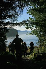 Coming Out Of The Rainforest