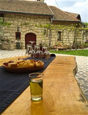 Drinking Palinka In Etyek Hungary