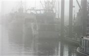 Foggy Juneau And Glacier Bay Docks