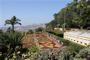 Funcal Botanical Garden
