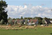 Horses In The Holland Landscape