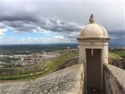 Landscape View From The Lookout Tower