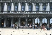 Piazza San Marco And Pigeons
