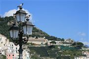 Pigeons Enjoying The Amalfi Sun