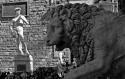 Statue Of David Piazza Della Signoria