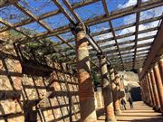 Trellis At The Roman Theater Of Merida Gardens