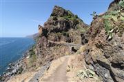 West Coast Cliffs And Trails Madeira