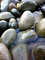 Rocks In The Water