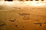 Step Towards New Life