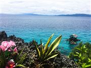 Island Beauty