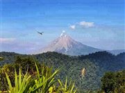 Dragonfly Befriending A Volcano