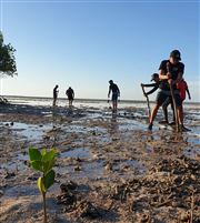 Replanting Mangrove