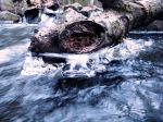 Frozen In Time