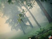Fog