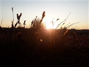 Nature Reserve Sunsets