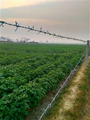 Walking Around Farms 