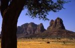 Ethiopian Landscap