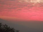 Darjeeling(Morning Has Broken)