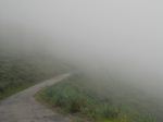 Mist(Darjeeling)