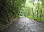 Road Not Taken.