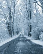 Snowy Lane