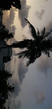 Sun S View