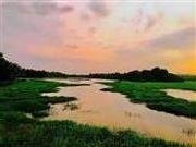 Beauty Of Nature