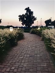 Path To Nature