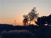 Sun Set