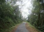 Nuckels Forest Range