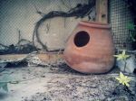 Old Parrot Cages