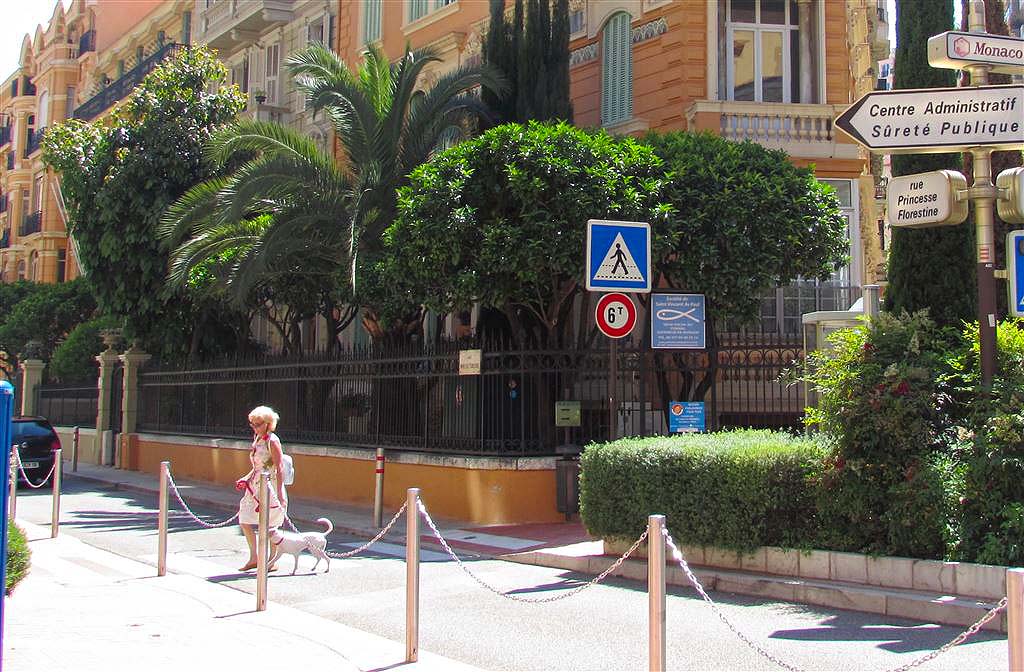 Streets And Pets Of Monaco