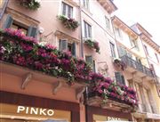 Balcony In Verona