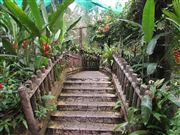 Butterfly Park