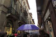 Rainy Day In Verona