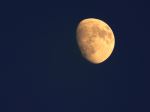 Moonstruck