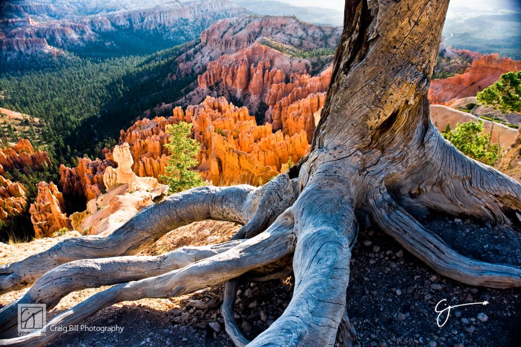The Edge of Bryce Canyon National Park