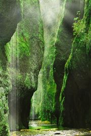 Gates Of Eden